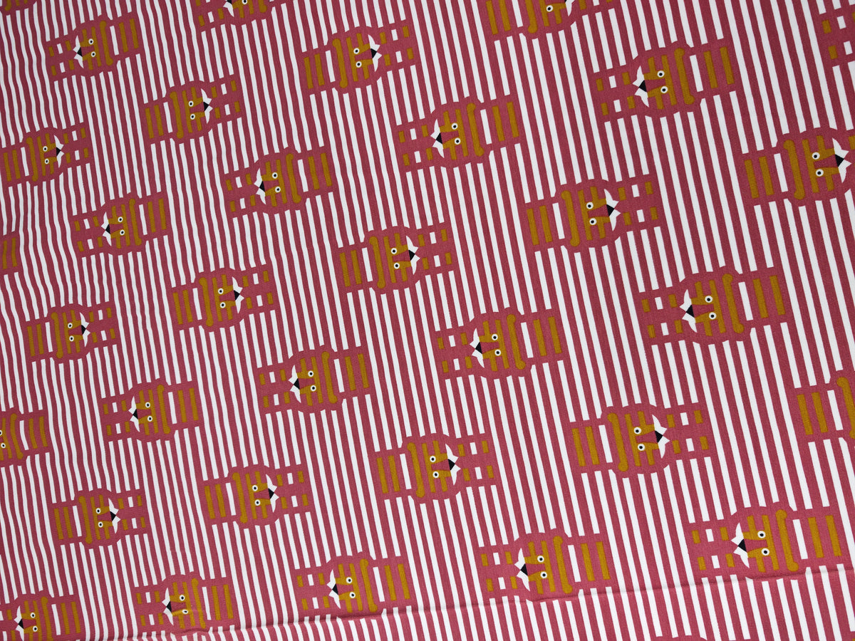 ORGANIC TIGER STRIPES – COTTON JERSEY – 95% COTTON 5% ELASTANE – 149cm WIDE