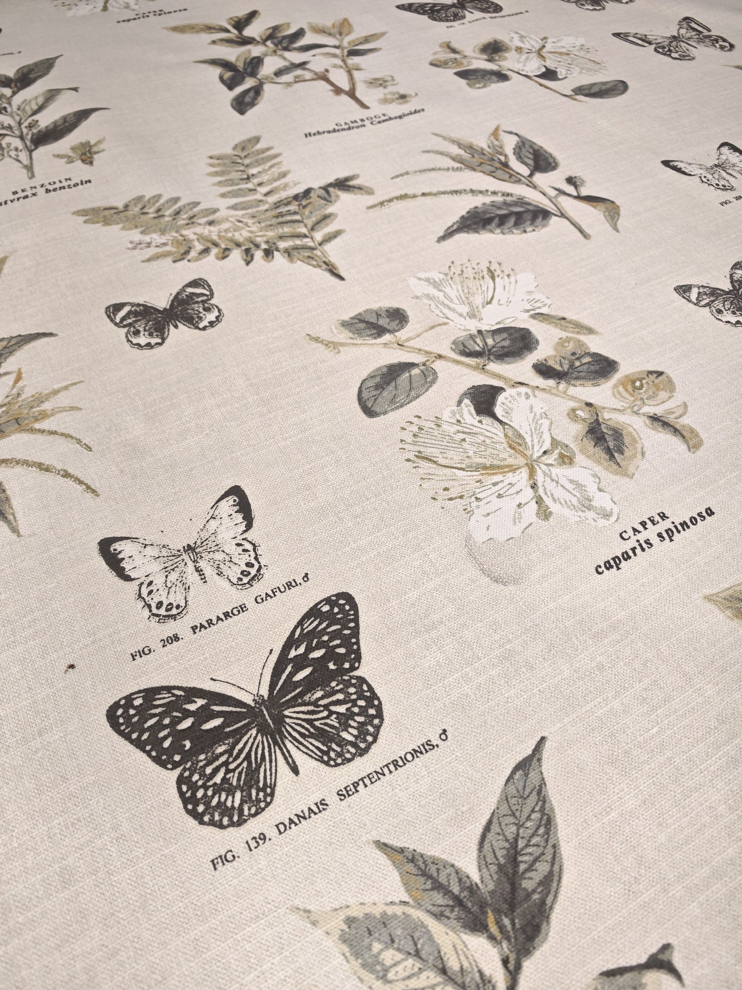 BOTANY – PRESTIGIOUS TEXTILES – HALF PANAMA 100% COTTON FABRIC – 142cm WIDE