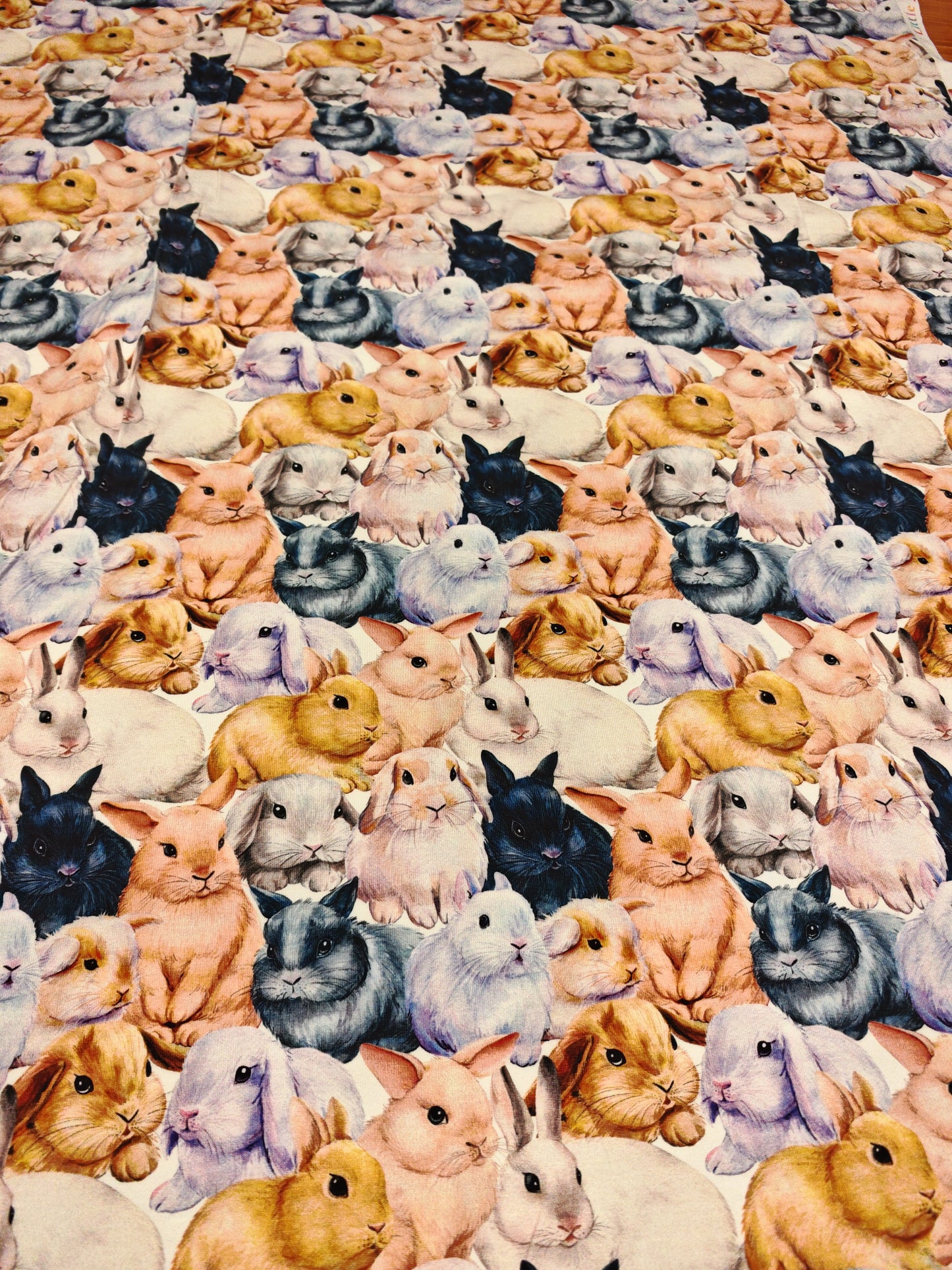BUNNY FLUFFLE – LITTLE JOHNNY COTTON JERSEY – 95% COTTON 5% ELASTANE – 142cm WIDE
