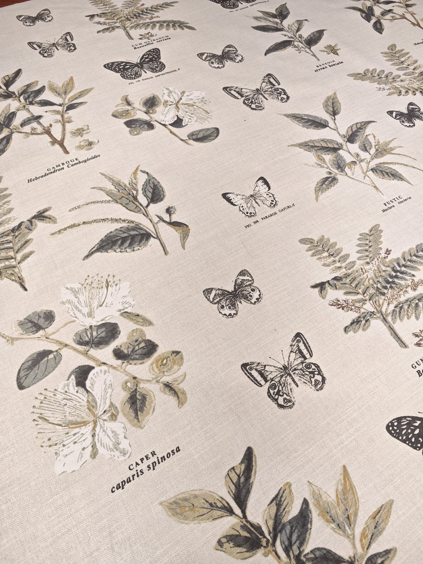 BOTANY – PRESTIGIOUS TEXTILES – HALF PANAMA 100% COTTON FABRIC – 142cm WIDE