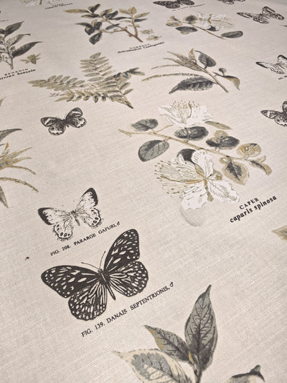 BOTANY – PRESTIGIOUS TEXTILES – HALF PANAMA 100% COTTON FABRIC – 142cm WIDE